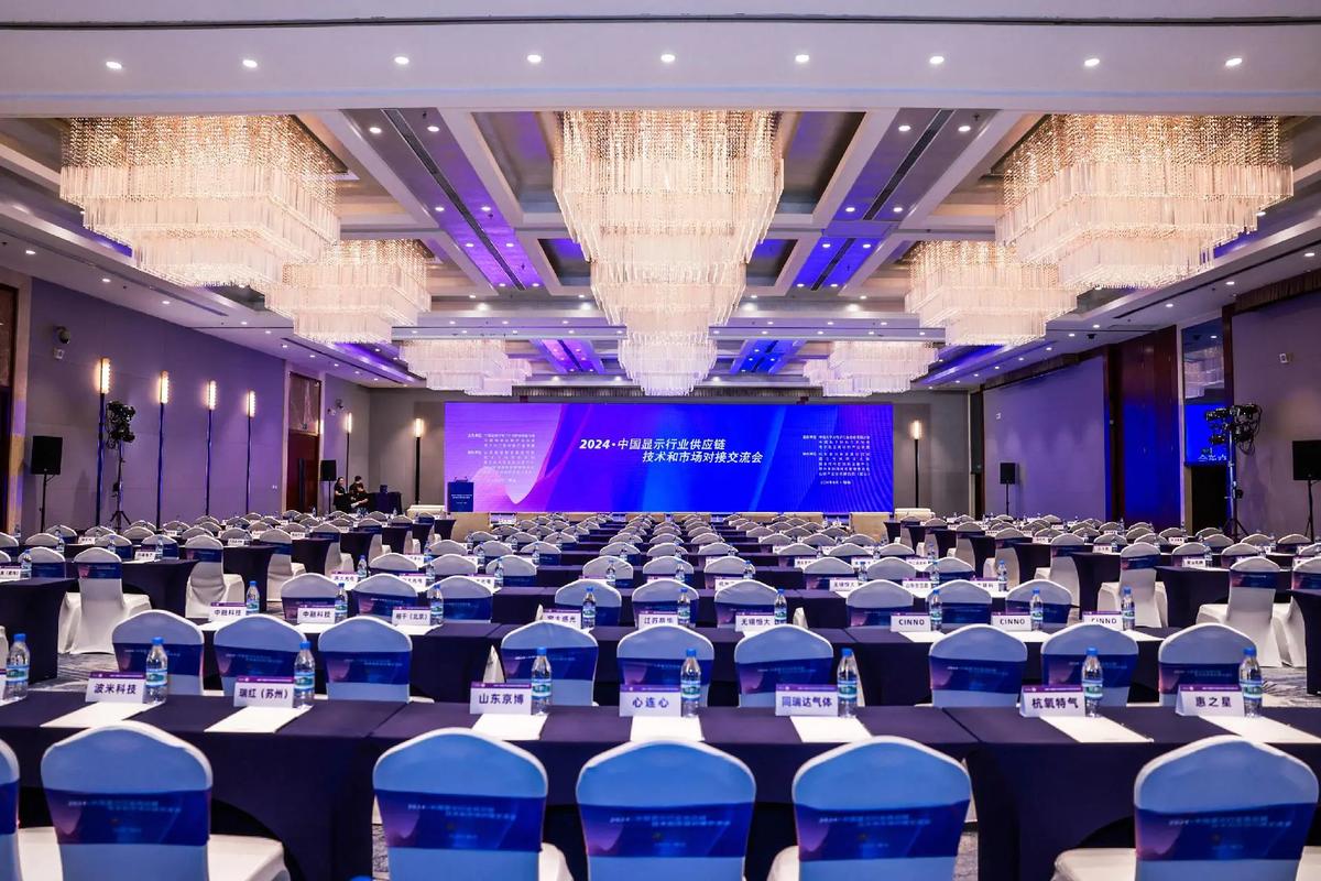 中國顯示行業交流會現場體驗 創新設計與科技融合的視覺盛宴