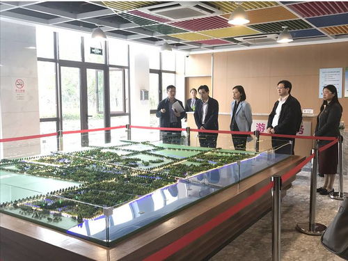 吳偕林副秘書長赴閔行區調研旅游工作，推動區域旅游業務創新發展